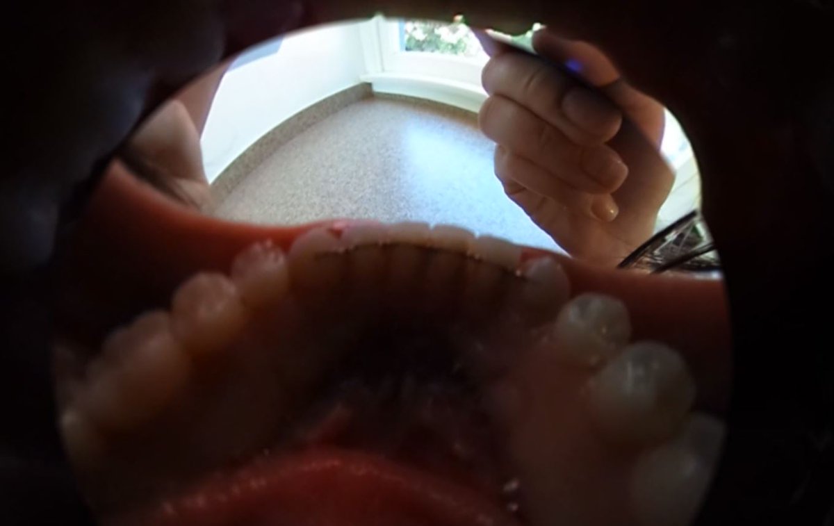 RunBuggyProductions tweet media