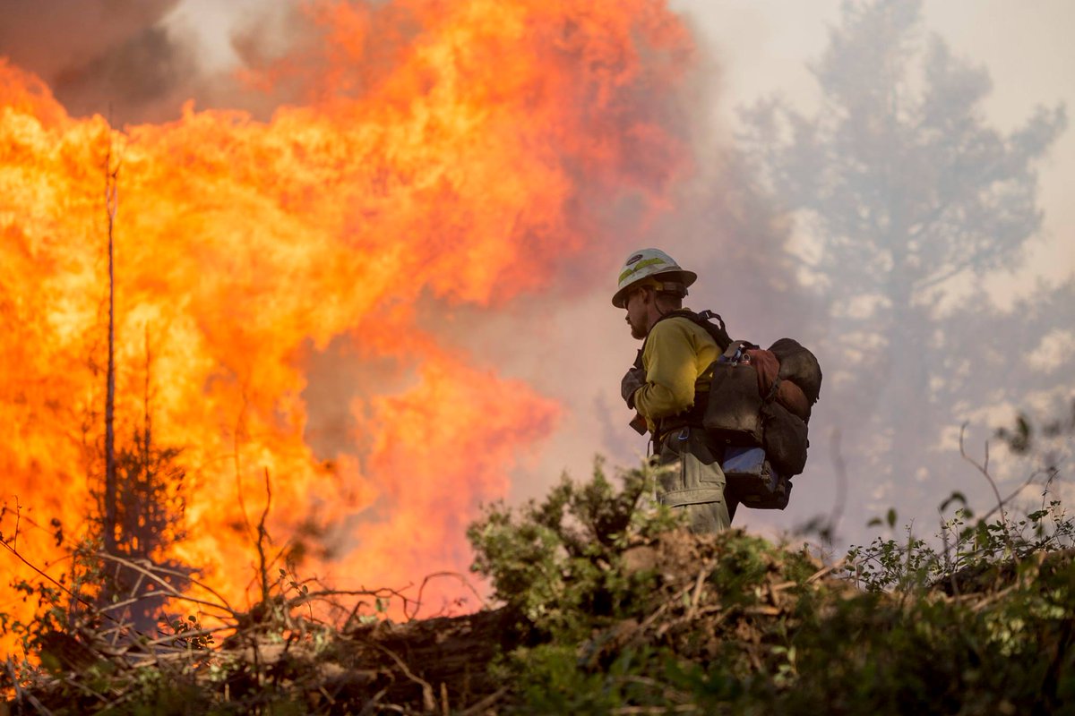 VeraHurt's tweet photo. #PioneerFire now at Lvl 2 evac. Over 58,000 acres gone #Idaho #Lowman #Boisecounty https://t.co/04pp4TWoo8 https://t.co/xRM7VBMwAv