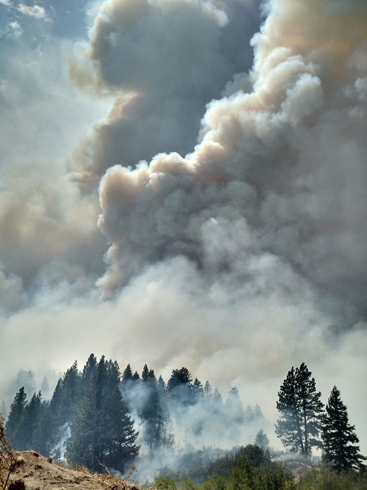 VeraHurt's tweet photo. #PioneerFire now at Lvl 2 evac. Over 58,000 acres gone #Idaho #Lowman #Boisecounty https://t.co/04pp4TWoo8 https://t.co/xRM7VBMwAv