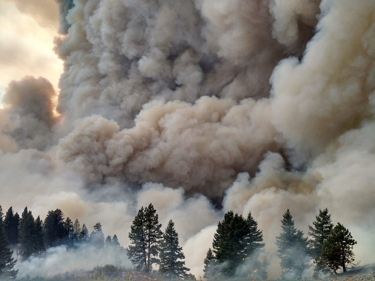 VeraHurt's tweet photo. #PioneerFire now at Lvl 2 evac. Over 58,000 acres gone #Idaho #Lowman #Boisecounty https://t.co/04pp4TWoo8 https://t.co/xRM7VBMwAv