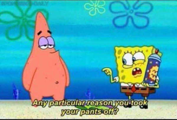 CauseWereGuys's tweet photo. 10 minutes into Netflix and Chill https://t.co/vNH1VDSLAt