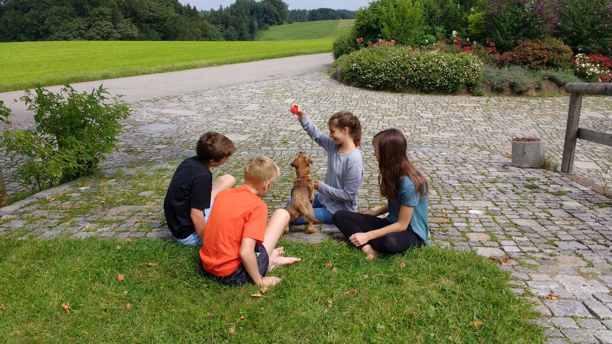 SRESMusic's tweet photo. @k12albemarle @Stonerobelem musicians making German friends at improvisation workshop. Thank you #GoogleTranslate https://t.co/UKzXkSKldE
