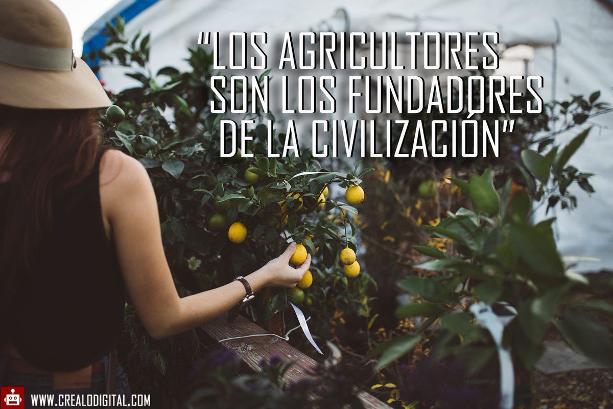 SenAgroApp's tweet photo. #agriculturafamiliar fundadores de la civilizacion #Senagro https://t.co/VBMW0YE0I3