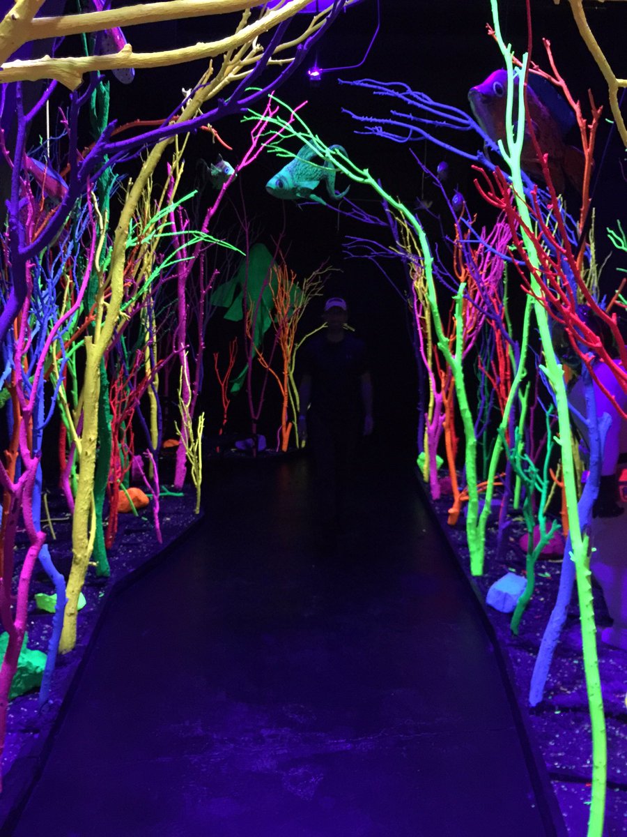 JakePRTLS's tweet image. Meow Wolf is so magical. I want to cry 👽
