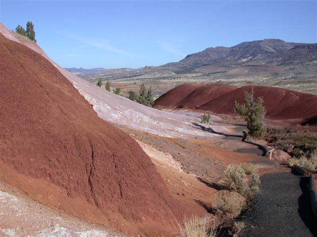 JDFossilBedsNPS's tweet photo. Have you been on the Painted Cove Trail lately? #ScenerySaturday #PaintedHills https://t.co/ev1iUca6Yf