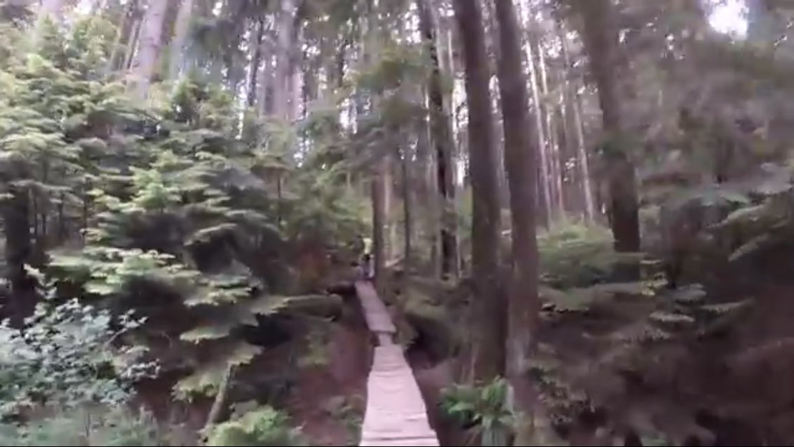 Check out this #northshore #mtb edit with some insane ladders. m.youtube.com/watch?v=XqxT6-… #mountainbike #retweet #shred