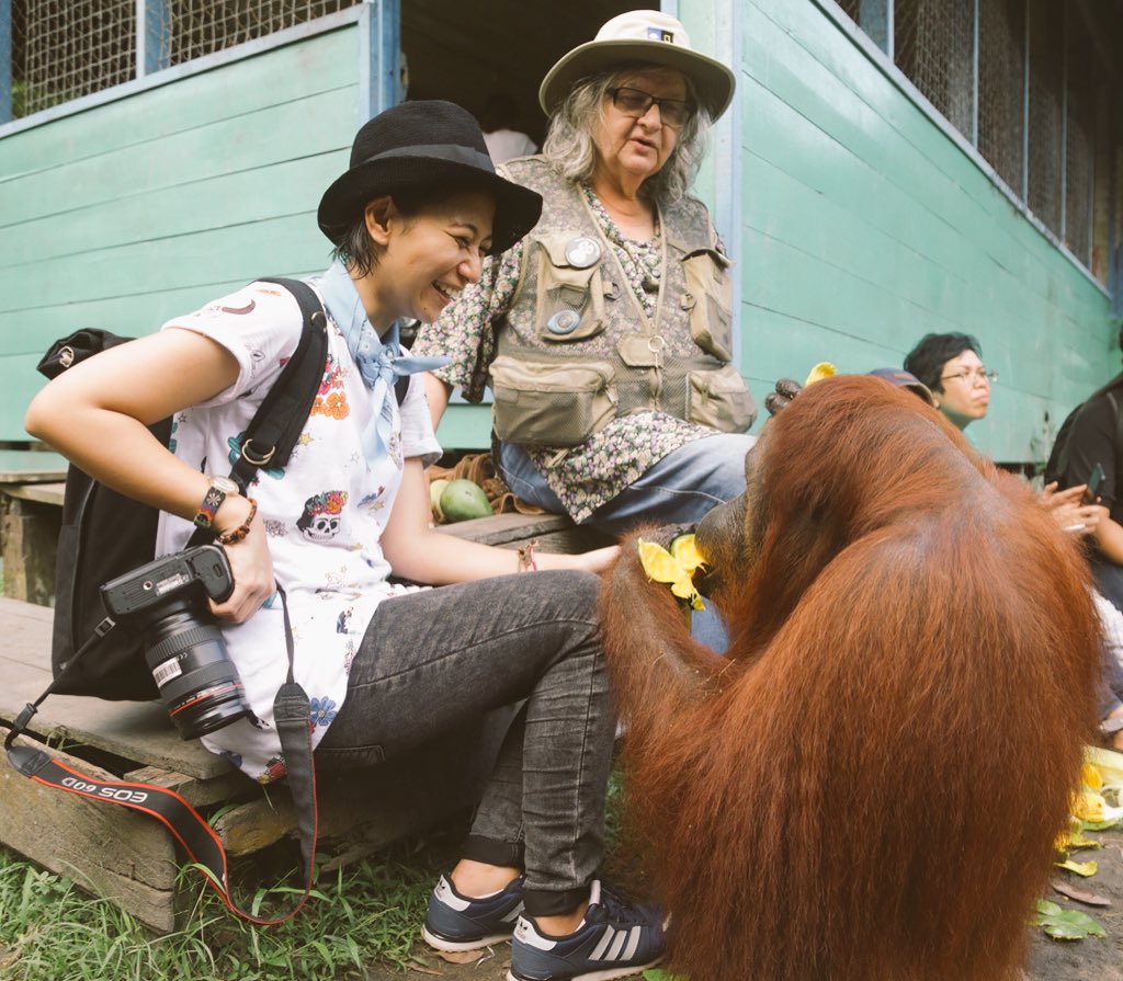 MahaChakry's tweet photo. Falling in❤️w/them happens within the 1st glance..#saveorangutan #orangutanday #orangutanfoundationintl

@DrBirute https://t.co/wXI7O2Nw29