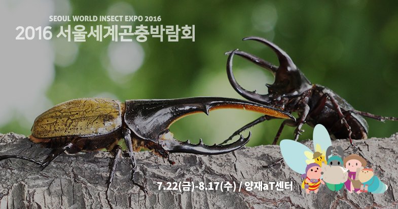 windgo21's tweet photo. 덕분에 좋은시간 될 것 같습니다~^^ 티켓을 최저가로 예매하는 현명한 꿀팁! https://t.co/SuC4dV4XdP https://t.co/n2kMkKXR2r
