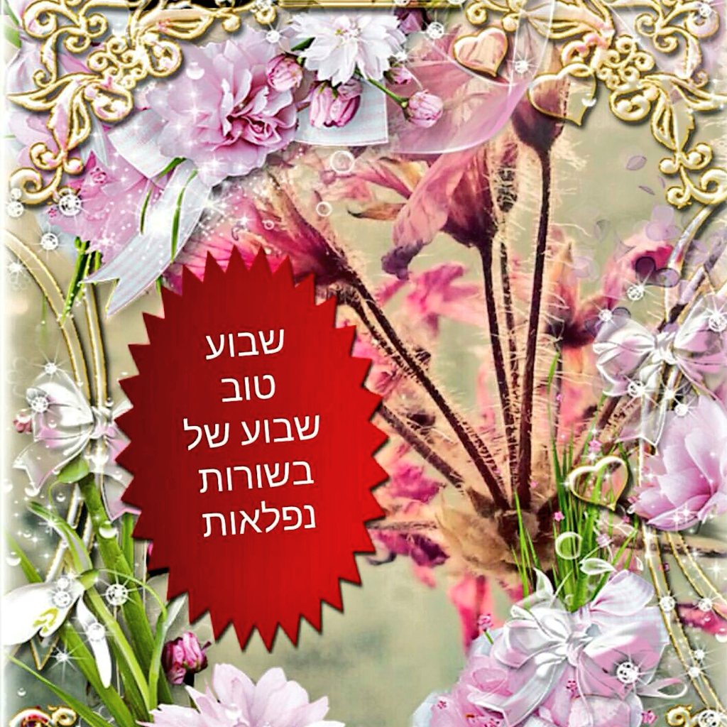 TEITELBAUMAARON's tweet photo. #shauvatov #gutvuch #mazeldigevuch #greatweek #hatzlacha #parnaso #weekofsimchas #motzaishabbos https://t.co/KTLdEGPOHI