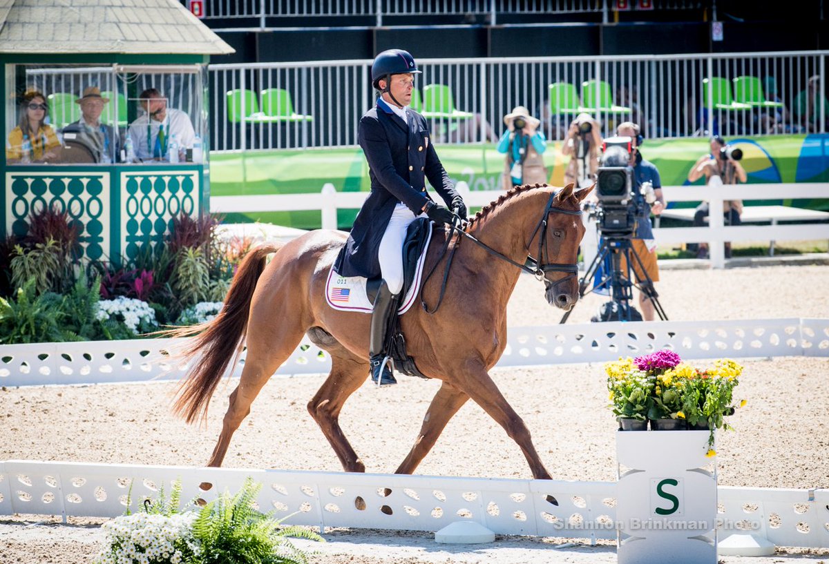 USequestrian's tweet photo. Check out photos from today's #EquestrianEventing dressage on our Facebook page! https://t.co/Ht5qTi15pJ https://t.co/tquscvKXt5