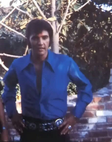 reginam67534761's tweet photo. #ElvisPresley #Hotinblue https://t.co/gNEtUF71UB
