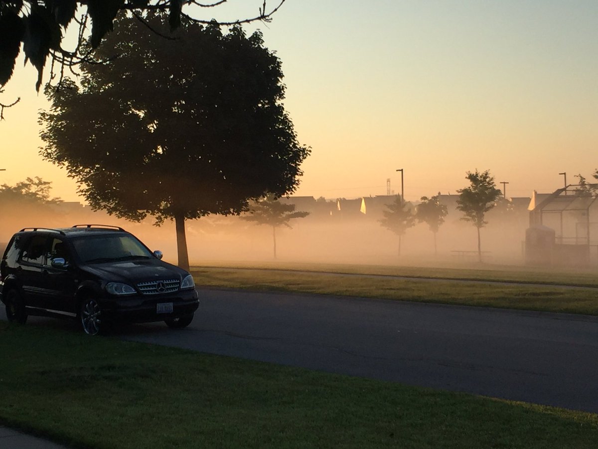 lbuster2's tweet image. 