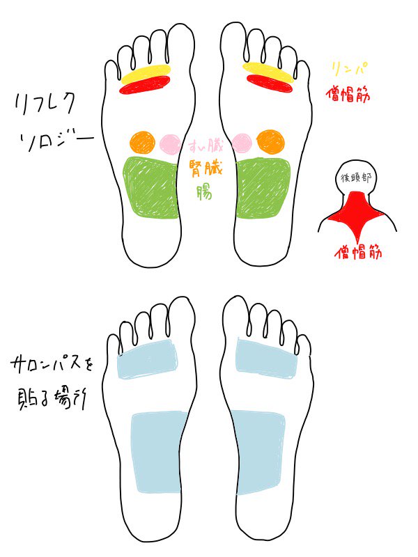 サロン パス 貼り 方