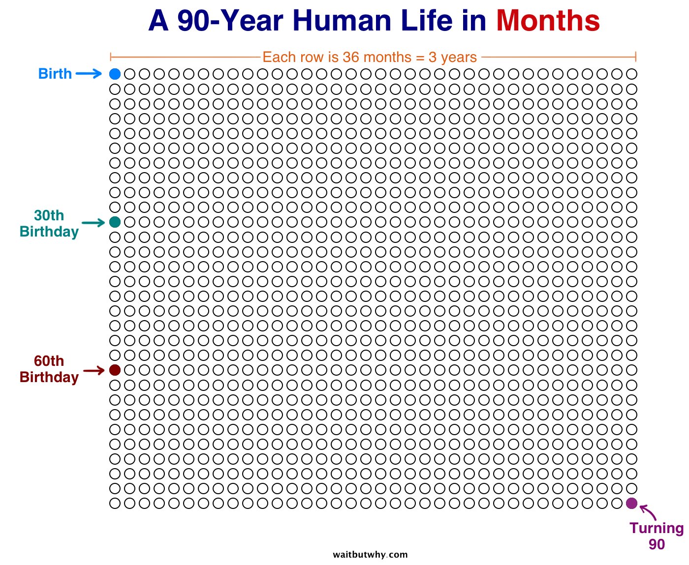 max galka on twitter a 90 year human life in months httpstco