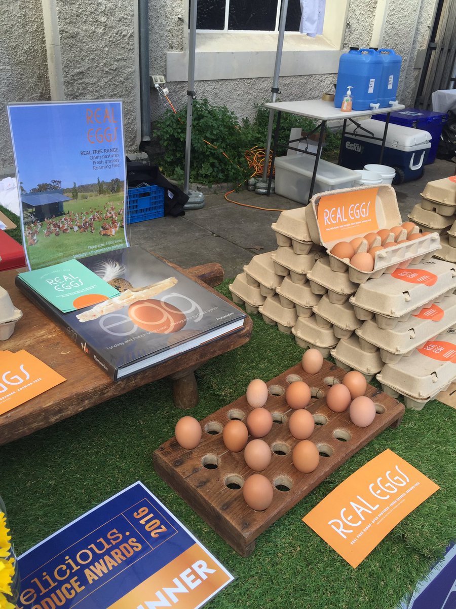 Happy chooks, happy eggs. 8 chooks per hectare. Seriously free range.#meatsweats