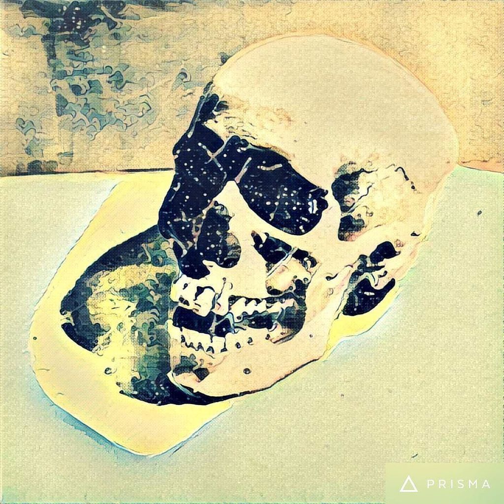 FilteredArt's tweet photo. Skull #warhol #andywarhol #popart #art #socialimpressionism #filteredart #prisma https://t.co/EzN2PBsYiC