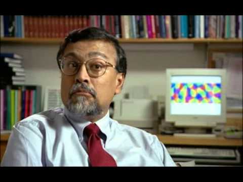 TubeFear's tweet image. PBS The Secret Life of the Brain 1of5 The Babys Brain - feartube.com/pbs-the-secret… #BrainAnatomicalStructure