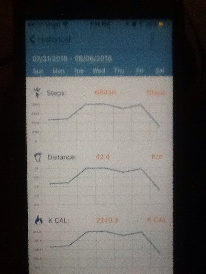 Avrilannec's tweet photo. @WeNurses #weactivitychallenge #nursesactive impressed myself 68436 steps = 42.2klms https://t.co/gacQ6a5YLs