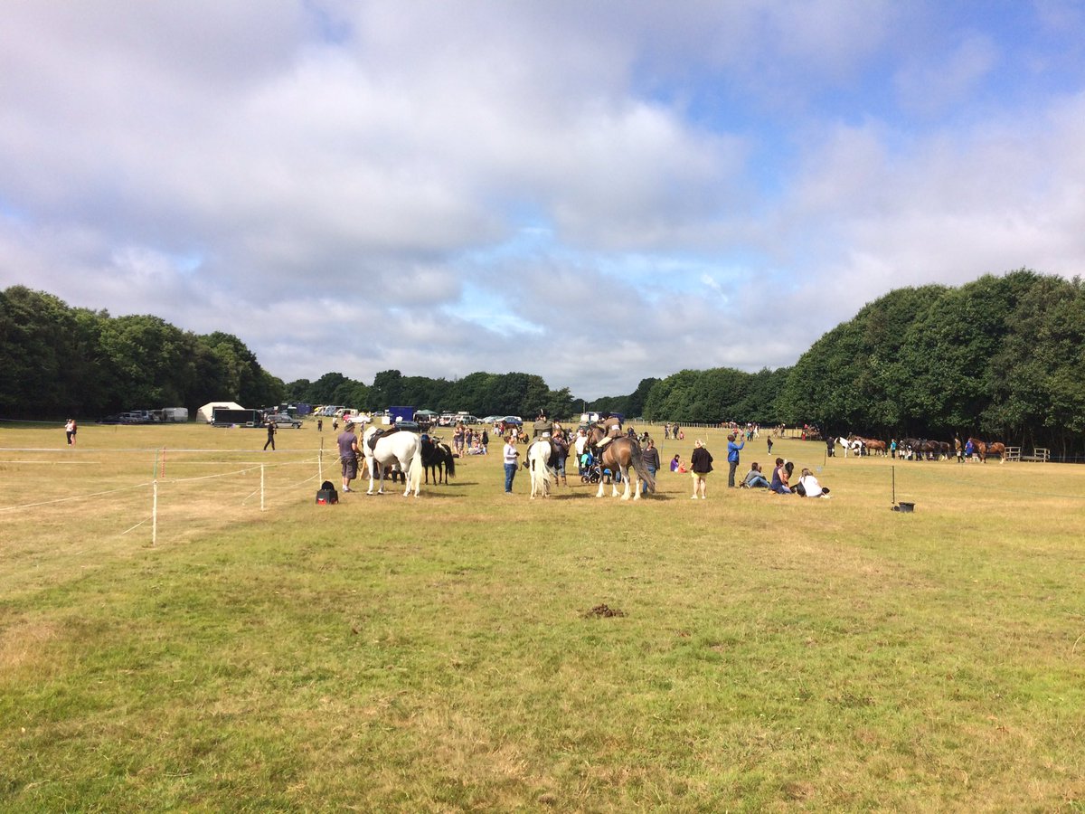MoatViewRC's tweet photo. The open show is up and running! Weather is looking good :-) https://t.co/Id2BMMMip2