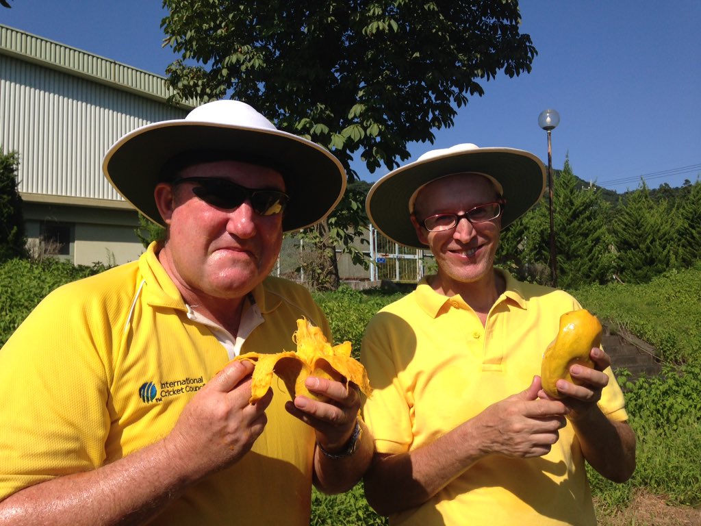 CricketJapan's tweet photo. パキスタンのチョンサマンゴーあるよ!#佐野市国際クリケット場 #PakistanMango https://t.co/MTTiomS8e2
