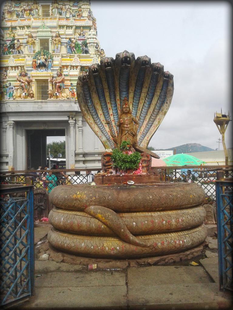 Nagara Panchami Habbada Shubhashayagalu 😊 Ellarigu Olleyadagali 😊👍✌