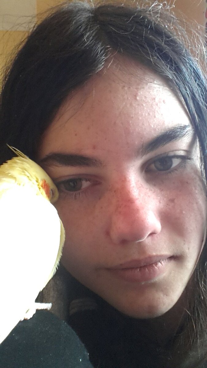 LittleMothling's tweet photo. Cuddle time with mummy :3 https://t.co/6aKse69vDu