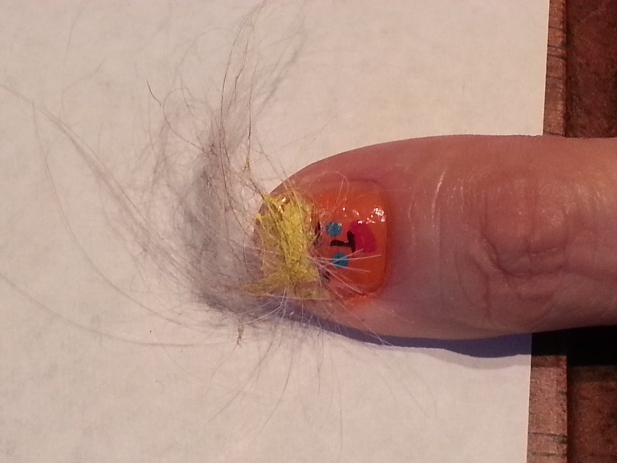 Akidna37's tweet photo. #gishwhes #DileyTryrus https://t.co/ktADFFb5r0