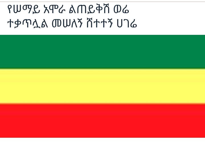 GermaSebel's tweet photo. https://t.co/4tpaAHdtPb