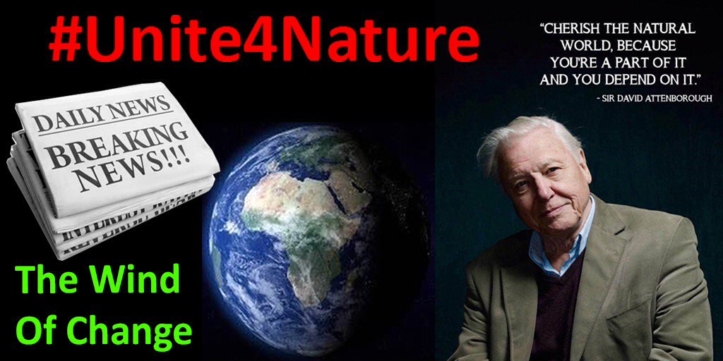 Team4Nature's tweet image. A video plea, UK/WORLD petitions &amp;amp; 2 thunderclap campaigns!
TWEET/DM if YOU want to HELP the world #Unite4Nature 📢