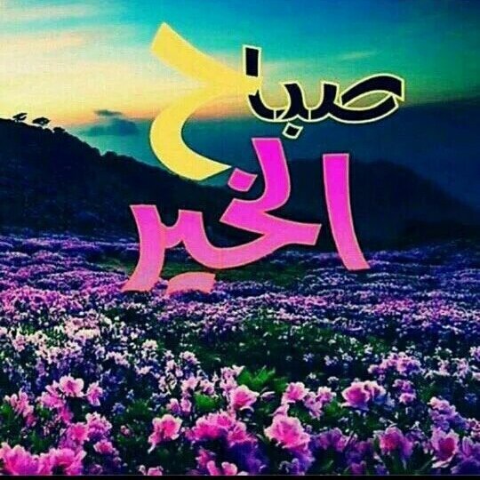 ghanah33's tweet photo. قلي هلا واقول صبحك بالخير
قل مرحبا واقول ياروح روحي 

اغليك ماطاوعت عذال ومشير
وحياة من مشا السفينه بنوحي

أعجبتني https://t.co/RqZMlJcuVT