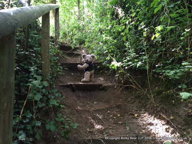 AllAboutBinky's tweet photo. Binky at the Secret Steps! Find out where he is here @WattsGallery #walkforwatts August 20 https://t.co/icJ9JID7Mq https://t.co/QKX8ajIepm