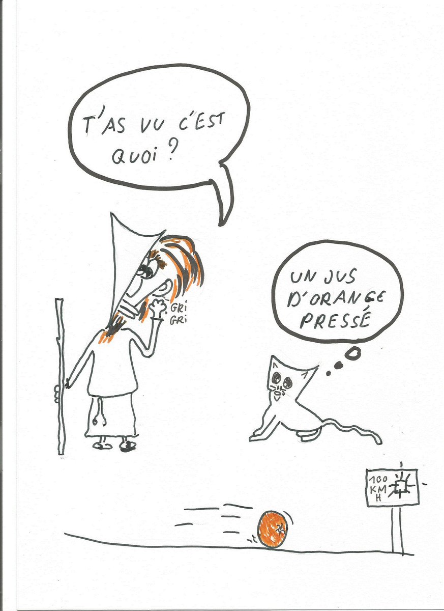 petitlincrouste's tweet photo. #chat #promenade #sped #rapide #flash https://t.co/yq4ccPwLM5