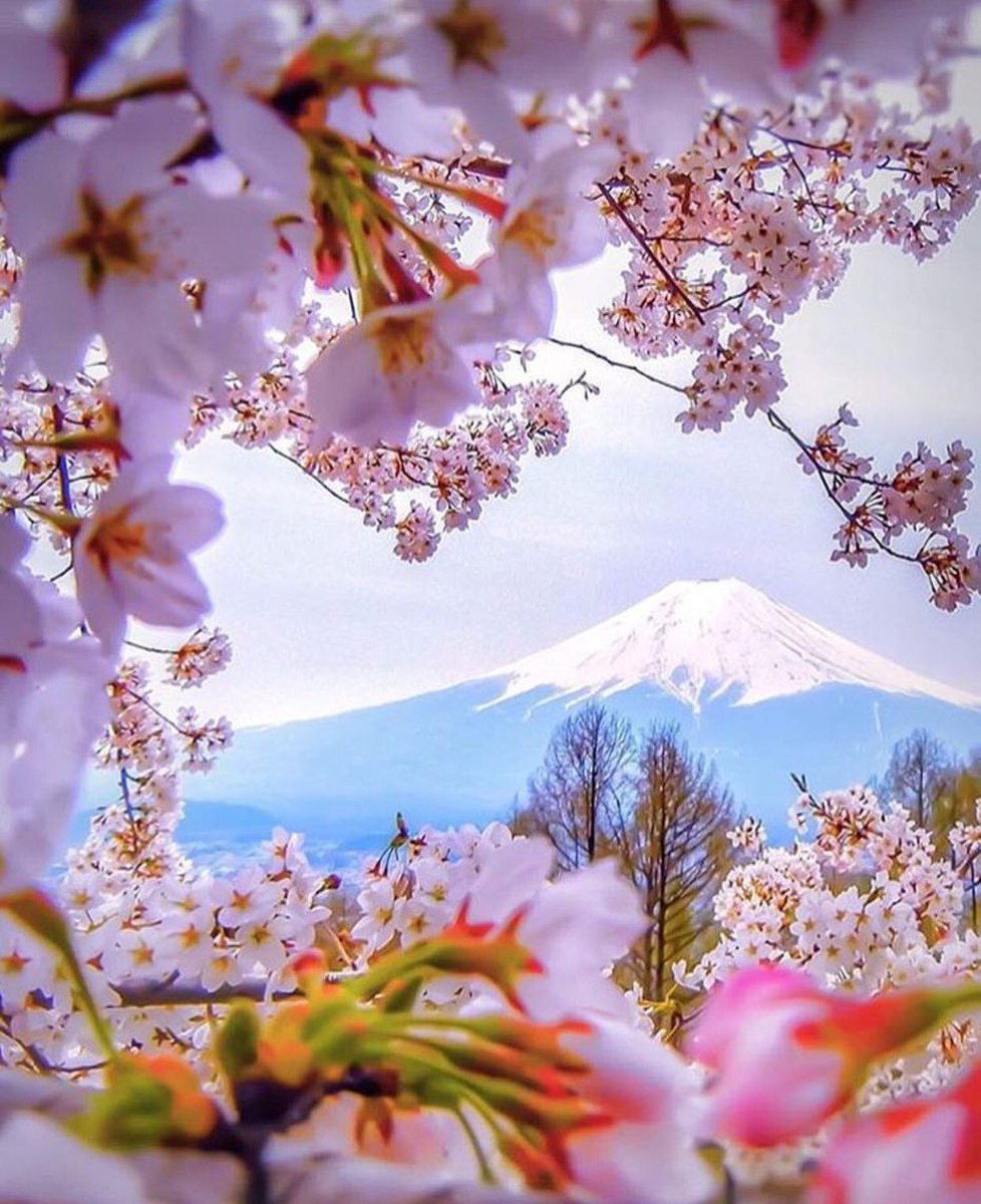 StoryPartiesMidlands tweet media