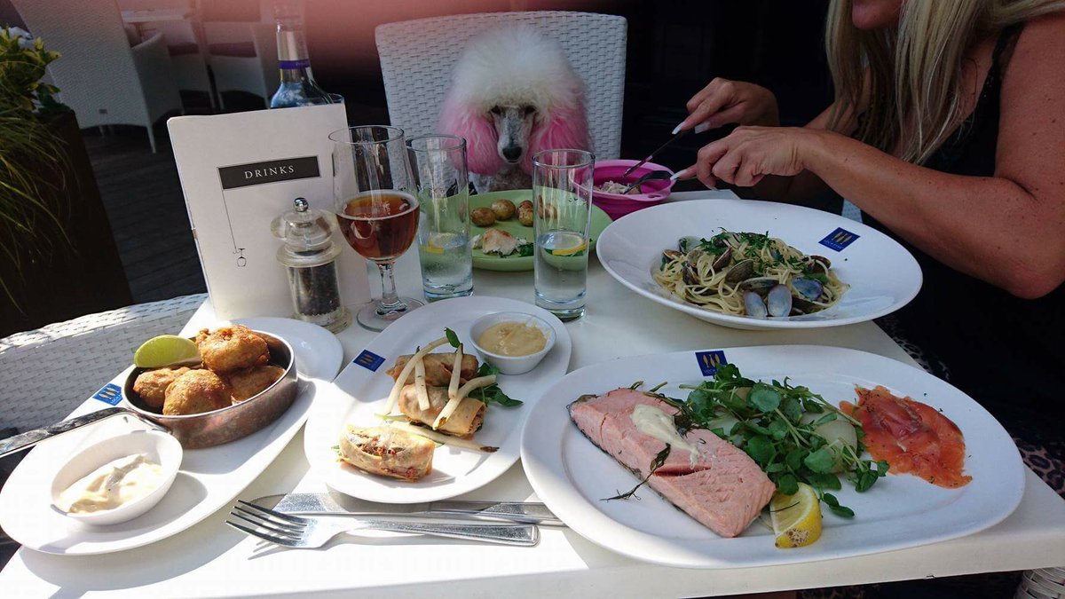 DanielaForshaw's tweet photo. #lochfyne #chelmsford #essex #doinglunch #pinkpoodlevenice #momager #fishdish #spaghettiwithclams #hake #specials https://t.co/1lL3beUwCT