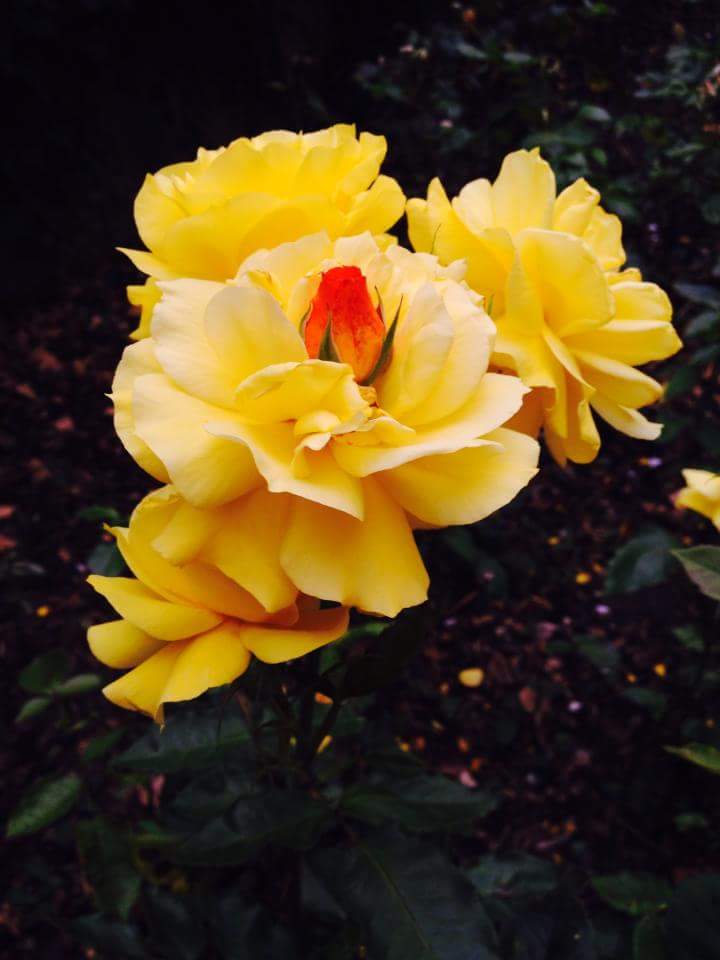 viktorinini's tweet image. 💐Hi,Anna🙋@ali33322216 🙌@burhand09🙌 @DejahTHORlS 🙌@ANASTALYA🙌  @Knyaggna🙌 @IrinaAsanova1🙌
 GOOD DAY ALL 💐💐💐