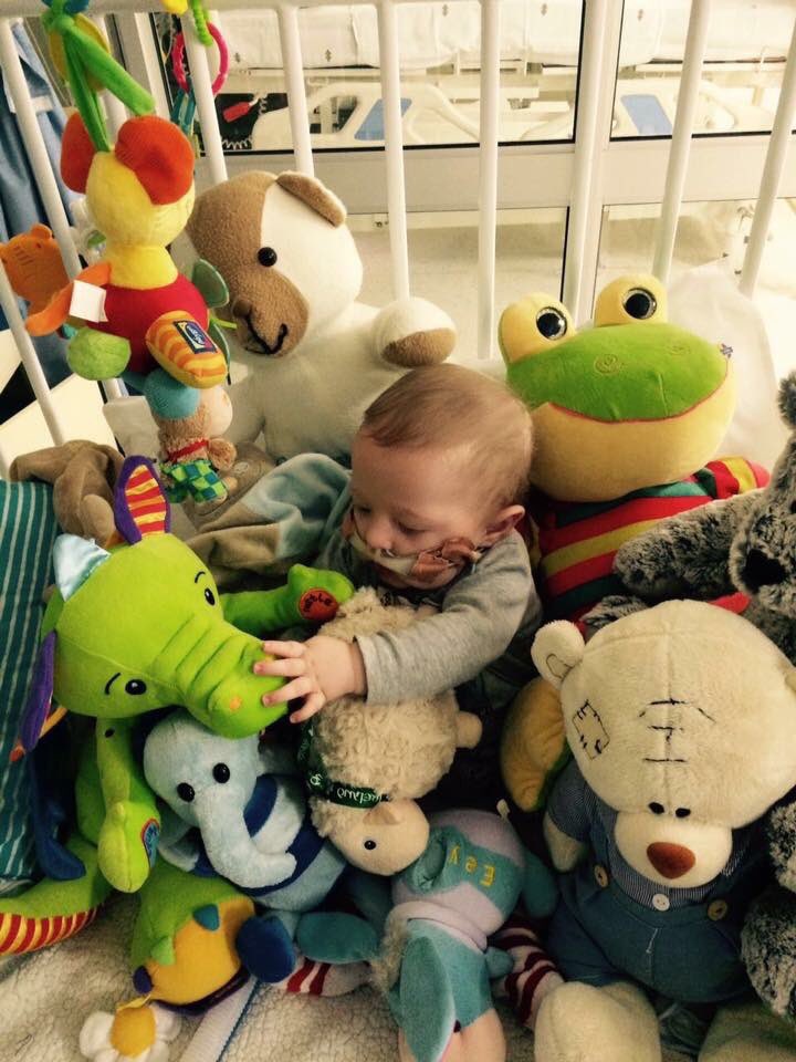 Help_4_Caylum's tweet photo. Taken y'day - Caylum surrounded by gifts, the jolliest cot in icu! Let's #getcaylumtoboston so he can take them home https://t.co/hPPSMJ5nKX