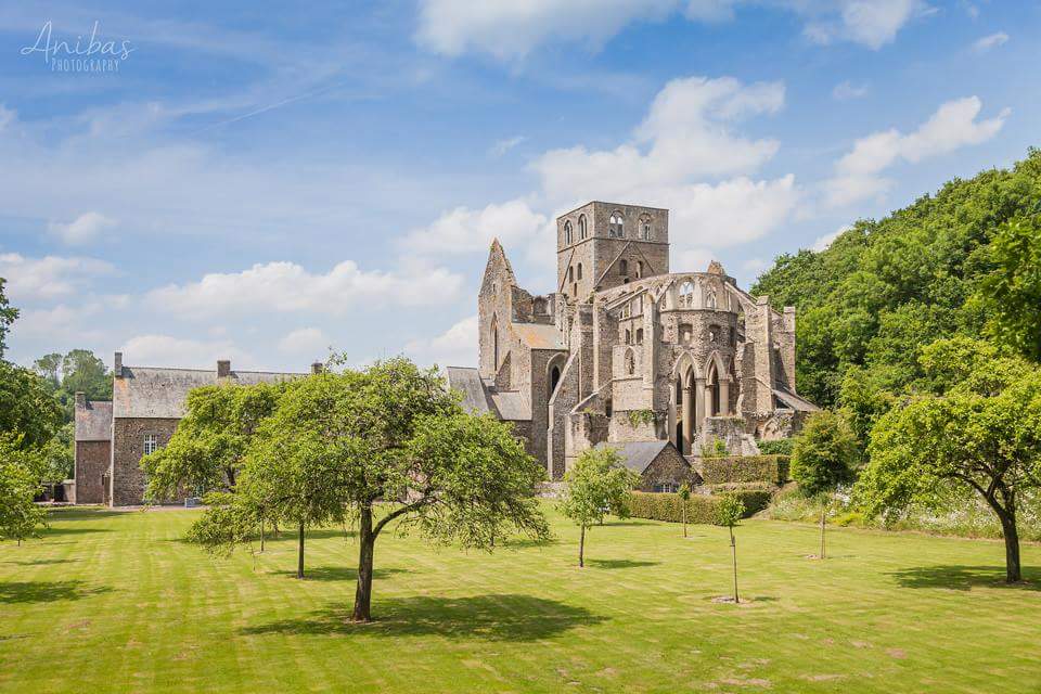 J'ai de la chance de vivre en #Normandie, où on peut visiter des sites magnifiques. Voici l'Abbaye d'Hambye. #france