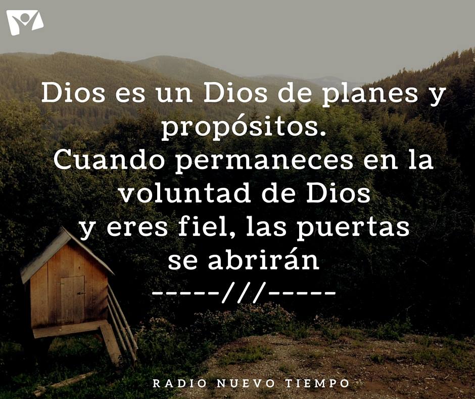 Dios Tiene Un Proposito Para Tu Vida 63 Frases De Dios Para