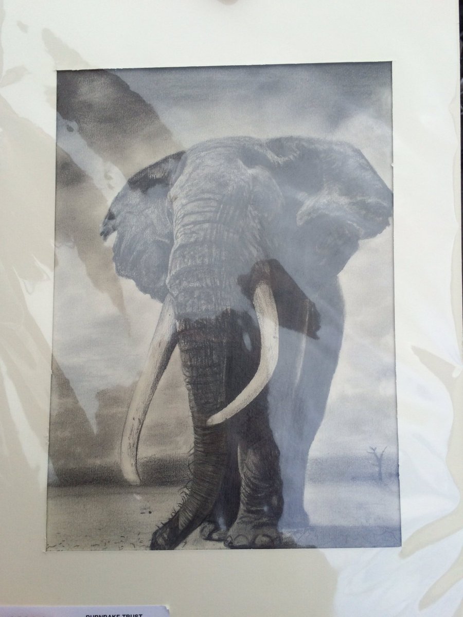 Gym_Joe's tweet photo. So today I purchased some art by a murderer!! #staysexy #murderer https://t.co/Ky0EmCVXY5