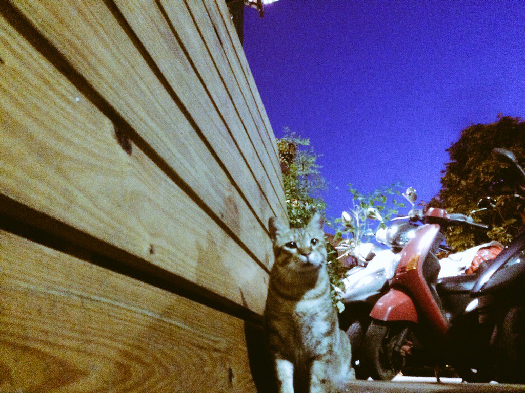 40xx's tweet photo. Life is not easy. https://t.co/8vaFq3pLPg