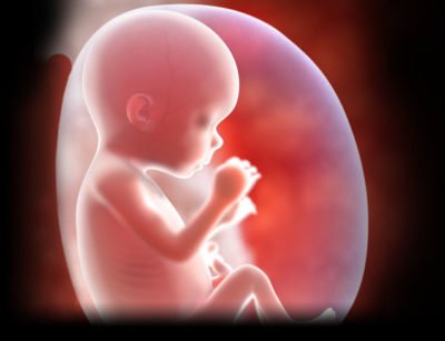 MandBonline's tweet photo. https://t.co/ThDc2aXuER what is your baby doing at 18 weeks pregnant #mbo #stagesofpregnancy #motherhood https://t.co/84LD1oBxhg
