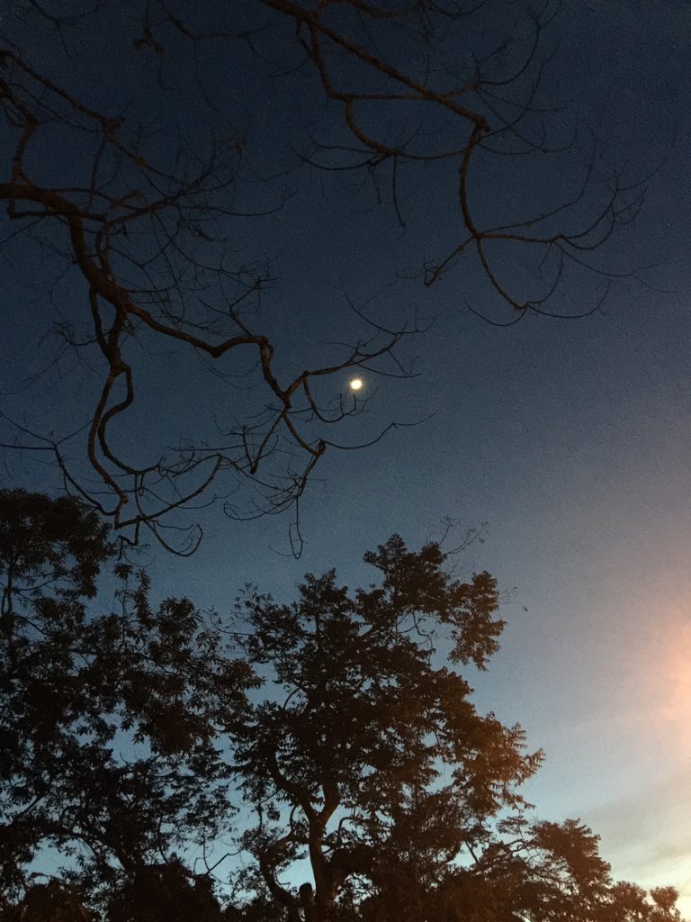 cakwas's tweet photo. "Bulan Kejepit Ranting", (Senja di Bedugul) https://t.co/ySOyDKgJPl