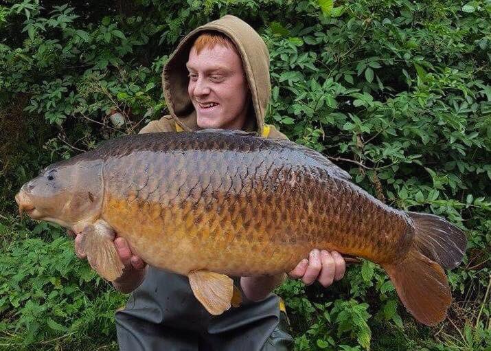 SterlingBaits's tweet photo. Dan bags these 3 stunning commons after a recent trip to Willesley Lake #SP1 #Wafter #15mm https://t.co/0VlTXdift5