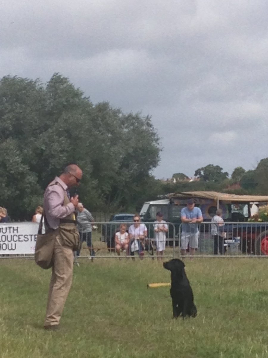 Sat enjoying Geoff Shore's #gundog demo in the sunshine <a href="/SouthGlosShow/">South Glos Show</a>! #shootingsports
