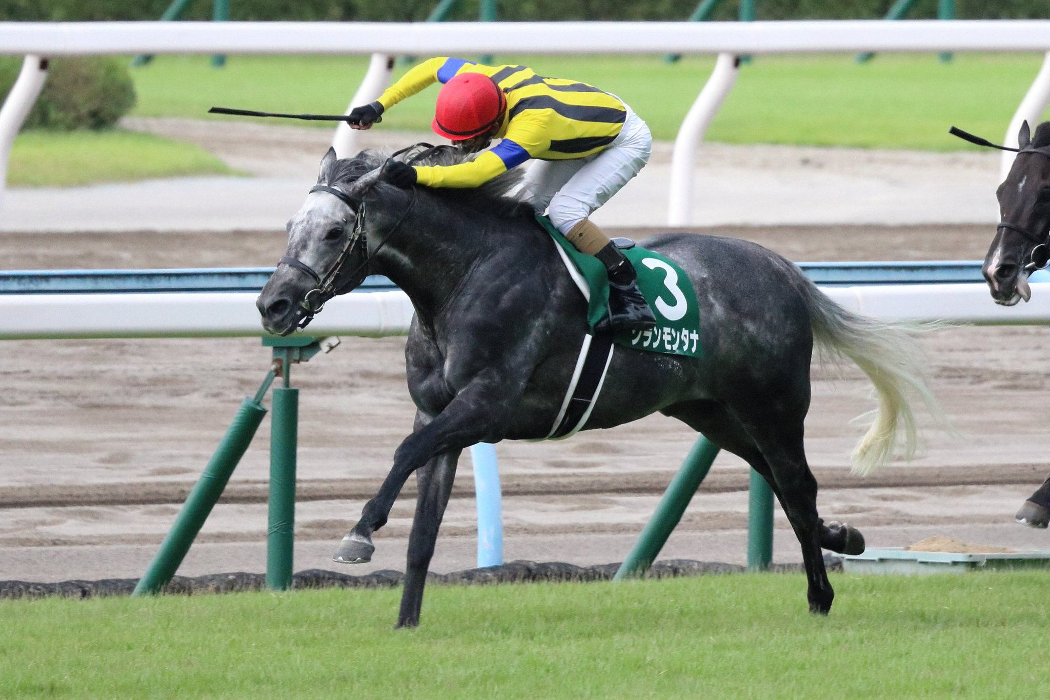 小倉記念g 11番人気のクランモンタナが優勝 競馬情報のblog 小倉記念g 11番人気のクランモンタナが優勝 競馬情報のblog