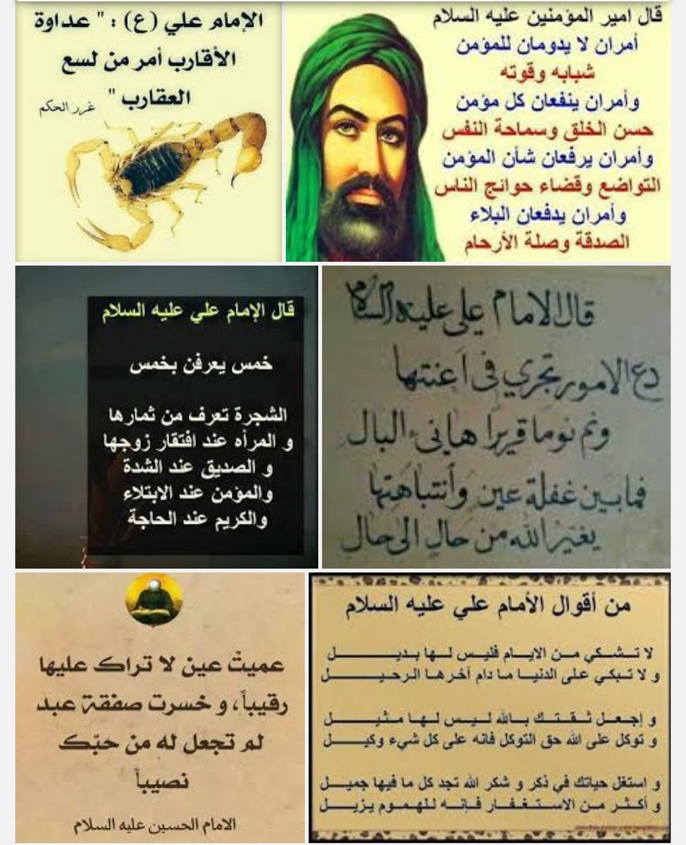 السلام على سيد البلغاء 
روحي لترابه الفداء صدقت ياسيدي ياابا الحسنين