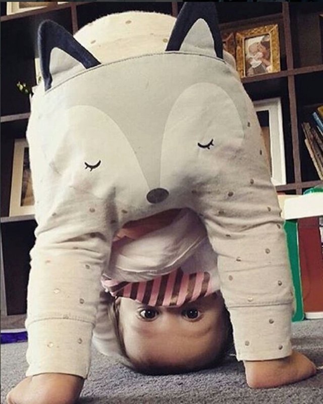 TofWinkel's tweet image. Het 'Foxie' broekje is al uitverkocht! Deze week weer binnen in meerdere maten #mama #zwanger #babykleertjes