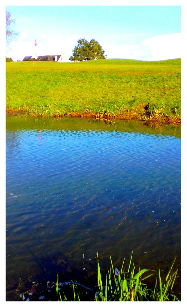 Charleville GC tweet media