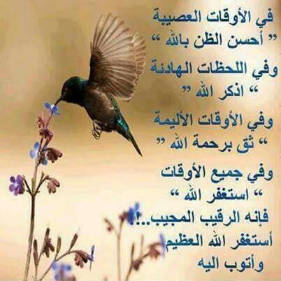 صعب.منال (@yadirsh1000) on Twitter photo 