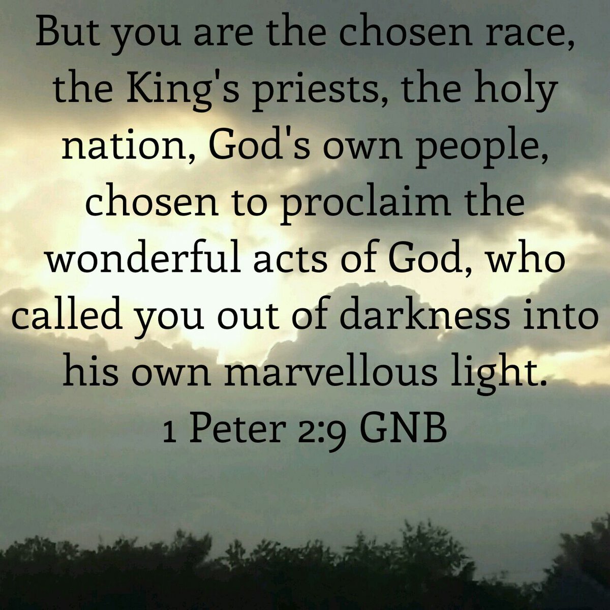 Vette (@vetteg) on Twitter photo 